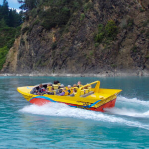 Alpine Jet Boat/Air Boat Experience