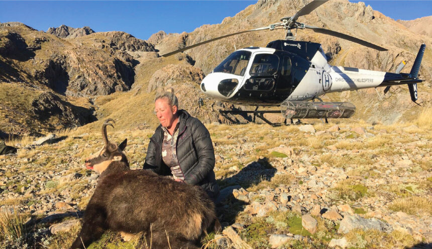 woman posing with chamois while on a Heli hunt